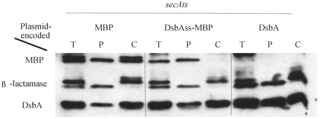 FIG. 7.