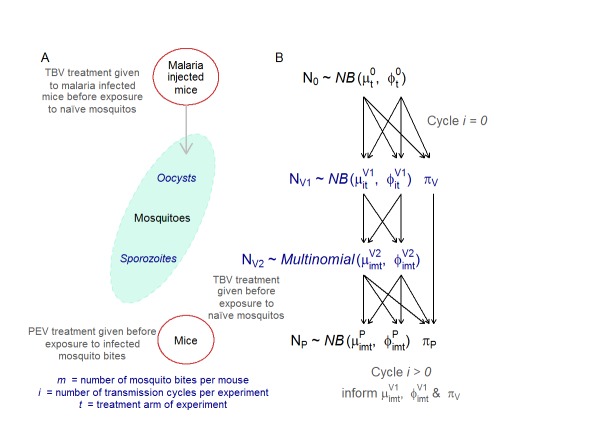 Figure 1—figure supplement 1.