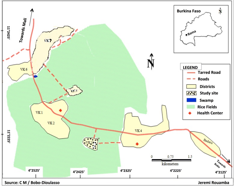 Fig. 1