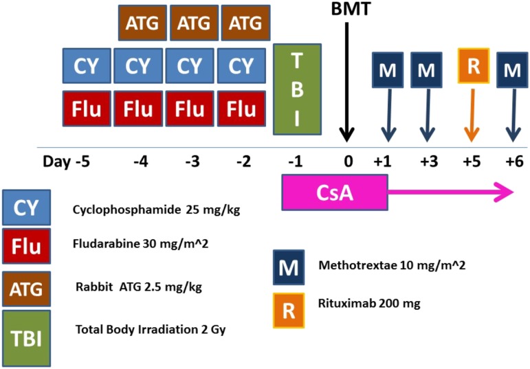 Figure 2.