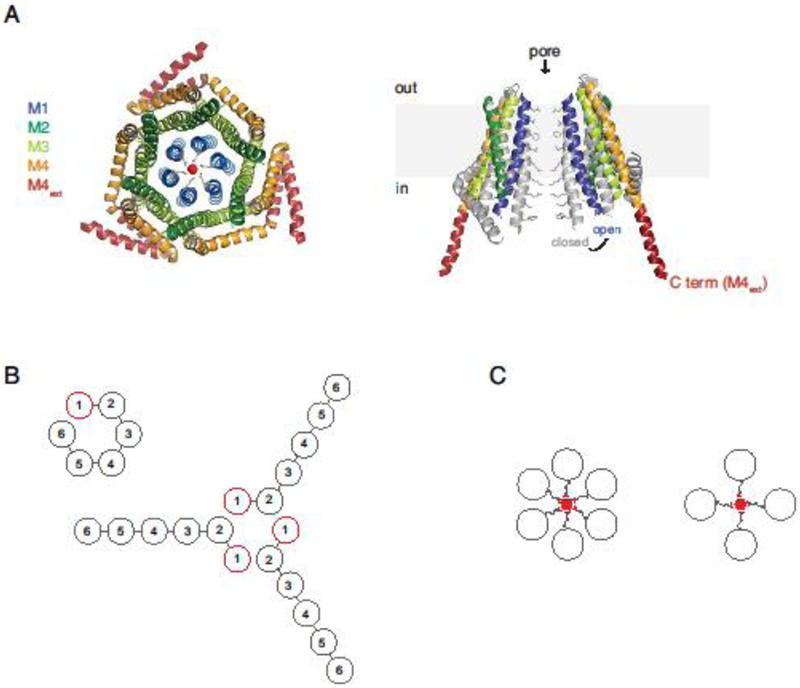 Figure 2.