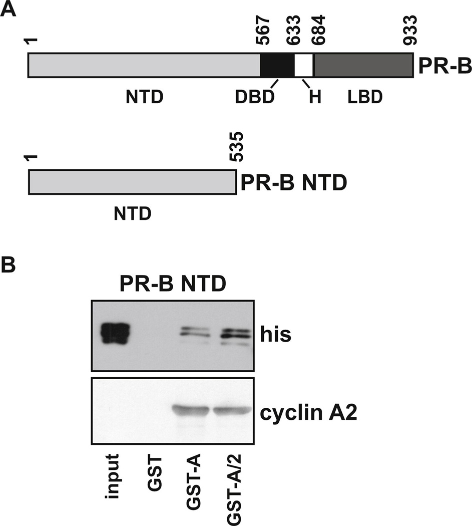 FIG. 5