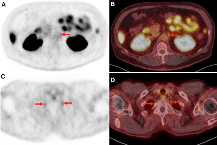 Fig. 3