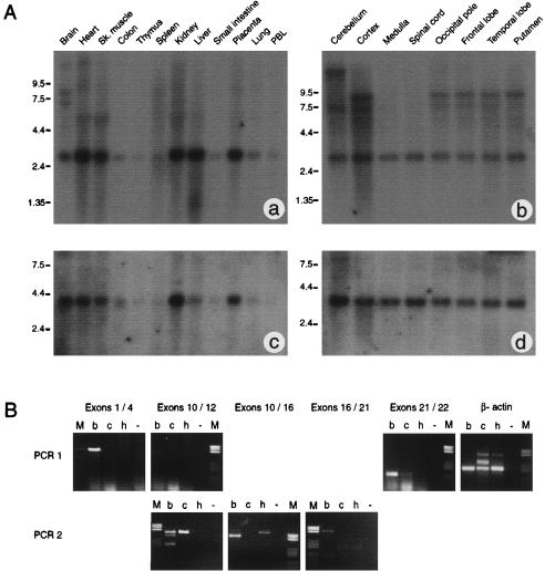 Figure  3