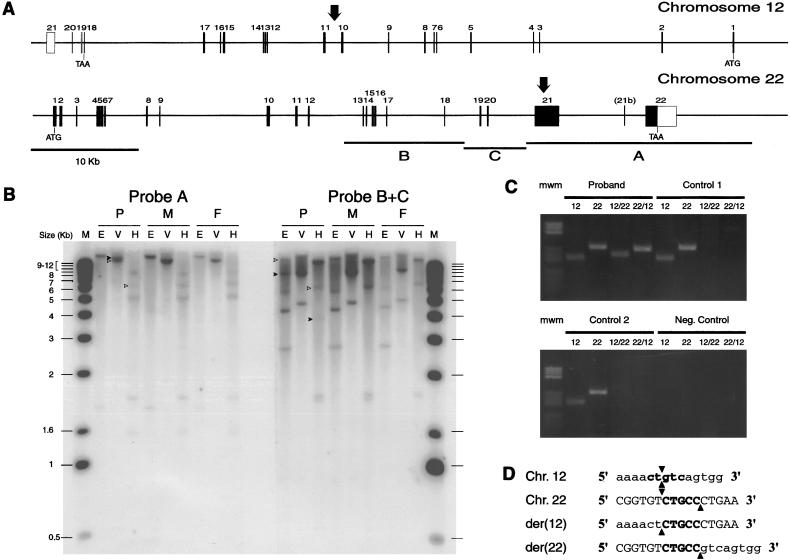 Figure  2