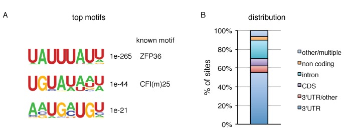 Figure 6—figure supplement 1.