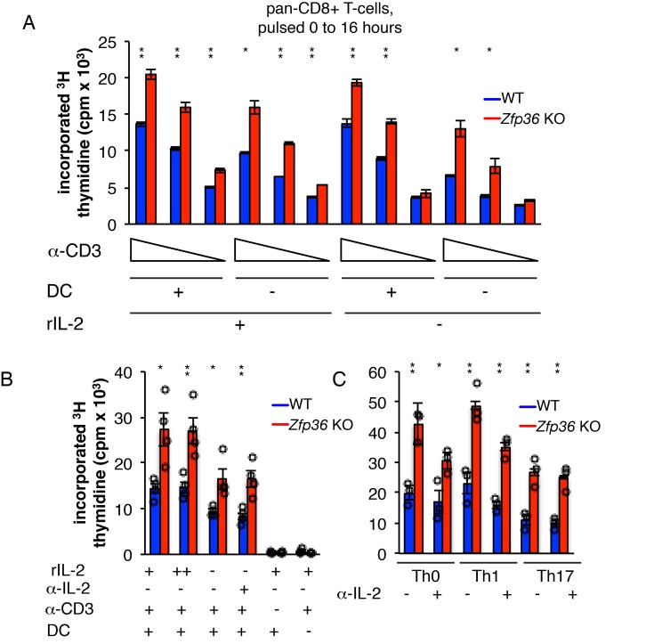 Figure 4—figure supplement 2.