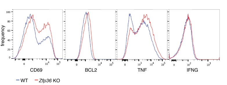 Figure 2—figure supplement 1.