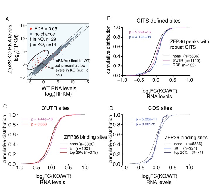 Figure 1—figure supplement 3.