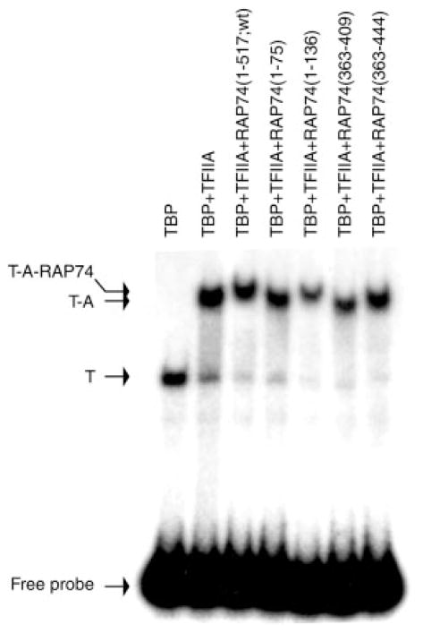 Fig. 5