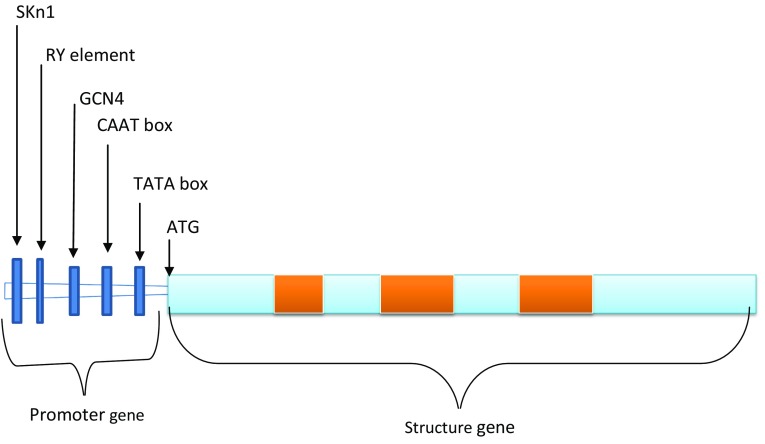 Fig. 2