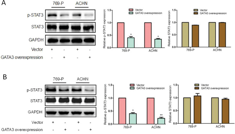 graphic file with name 41417_2020_229_Fig3_HTML.jpg