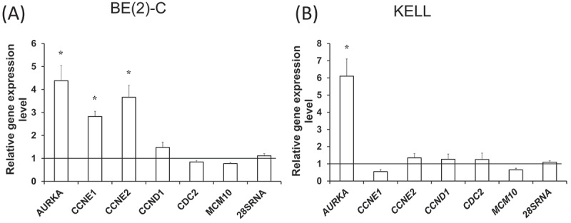 Figure 3.