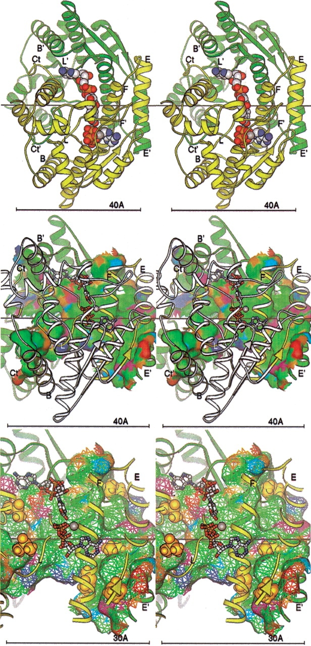 Figure 7.