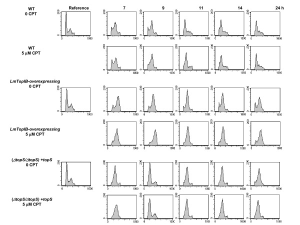 Figure 7