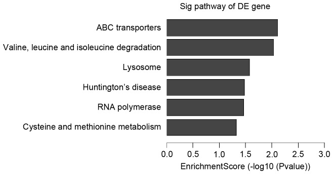 Figure 5.