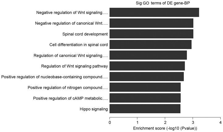 Figure 7.