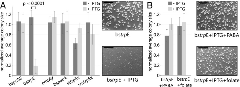 Fig. 4.