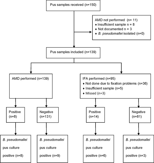 FIG 2