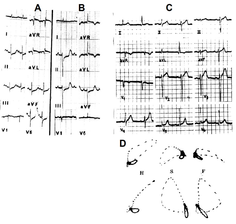 Fig. (3)