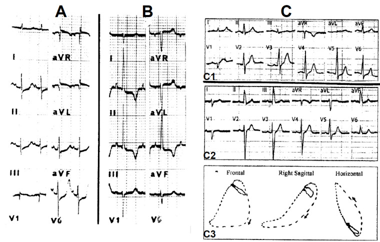 Fig. (4)