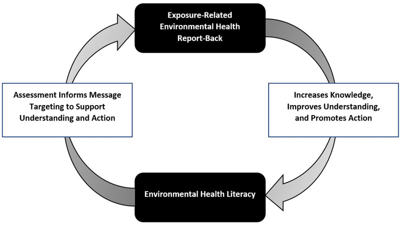 Figure 1 is a flowchart with four stages: exposure-related environmental health report-back, which increases knowledge, improves understanding, and promotes action; environmental health literacy; and assessment, which informs message targeting to support understanding and action. All the steps are interconnected with each other.