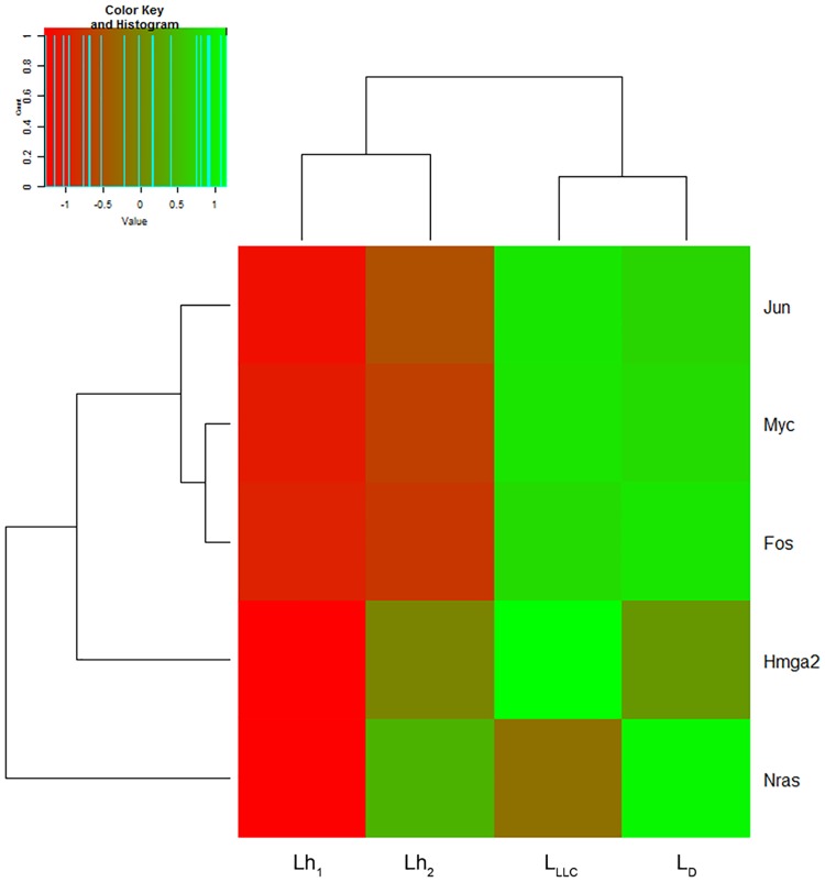 Fig 5