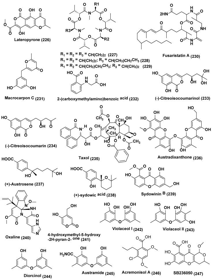 Figure 12