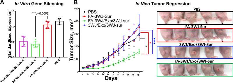 Fig. 4: