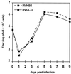 FIG. 7