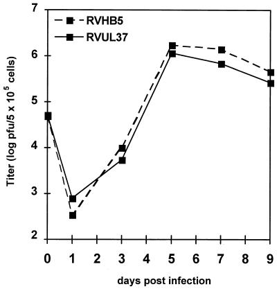 FIG. 7