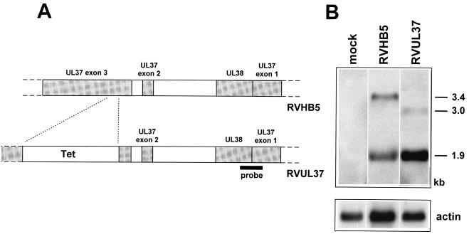 FIG. 6