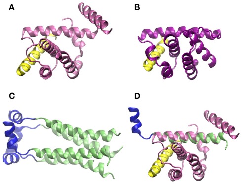 Figure 5