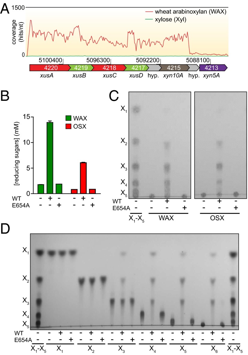 Fig. 2.