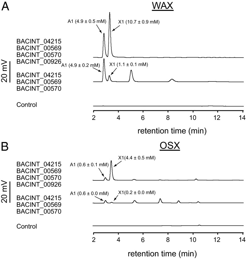 Fig. 8.