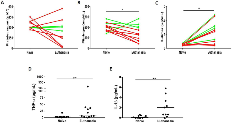 Figure 5: