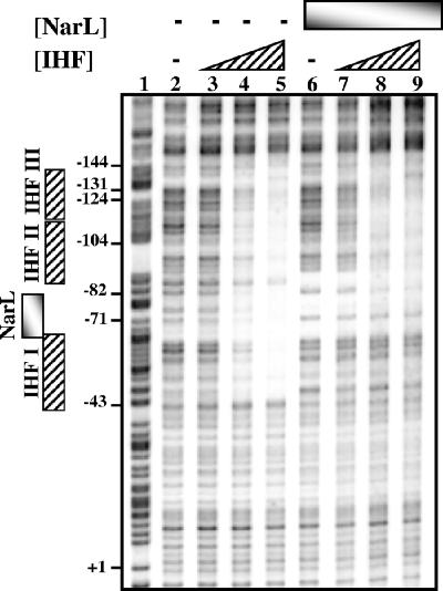 FIG. 5.