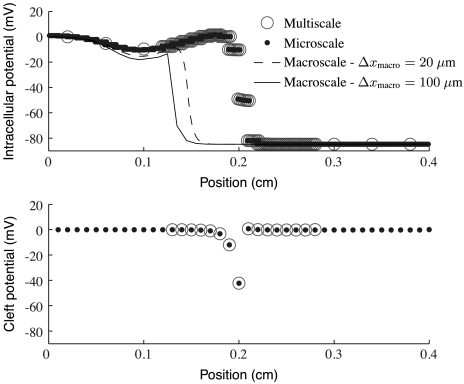 Fig. 6.