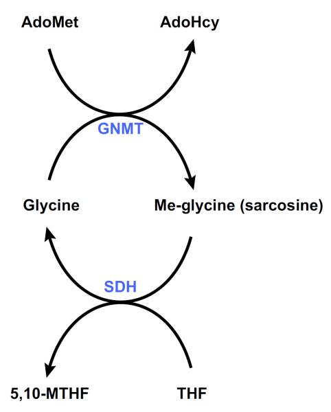 FIGURE 6