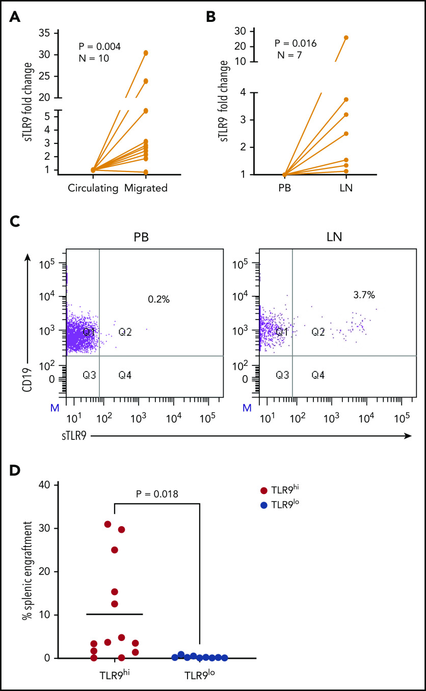 Figure 6.