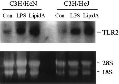 FIG. 8