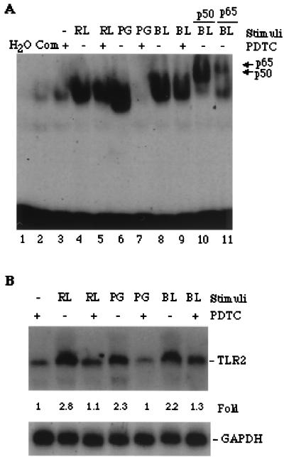 FIG. 6