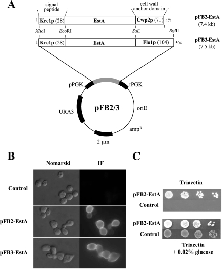 FIG. 1.