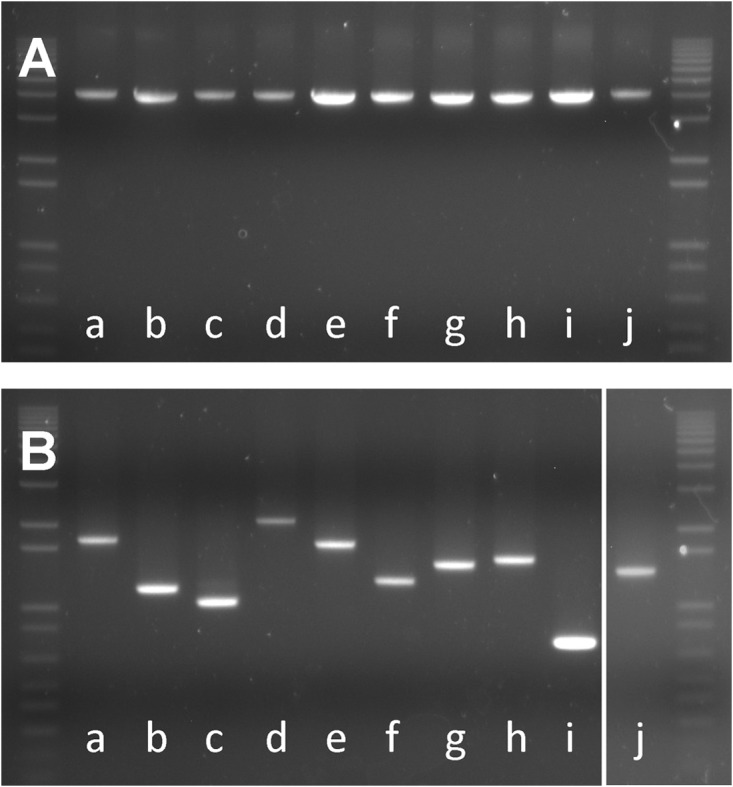 FIG 2