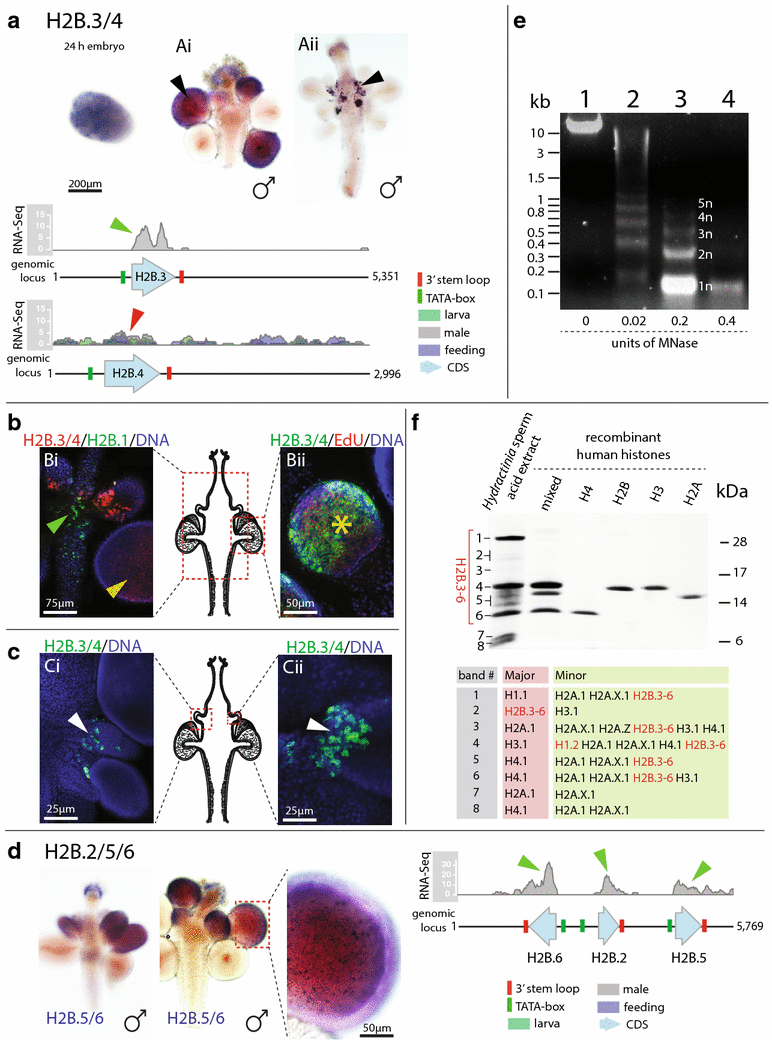 Fig. 7