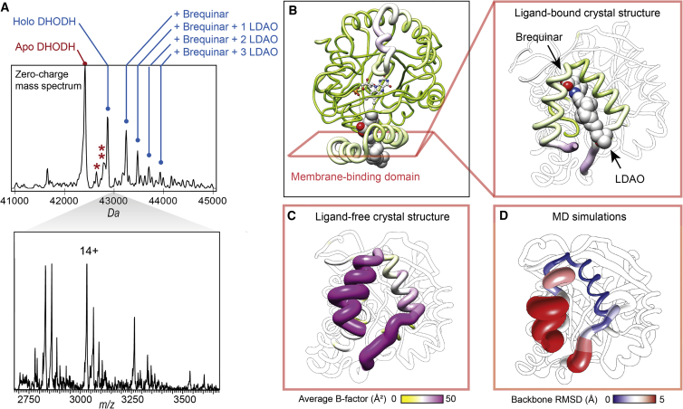 Figure 3