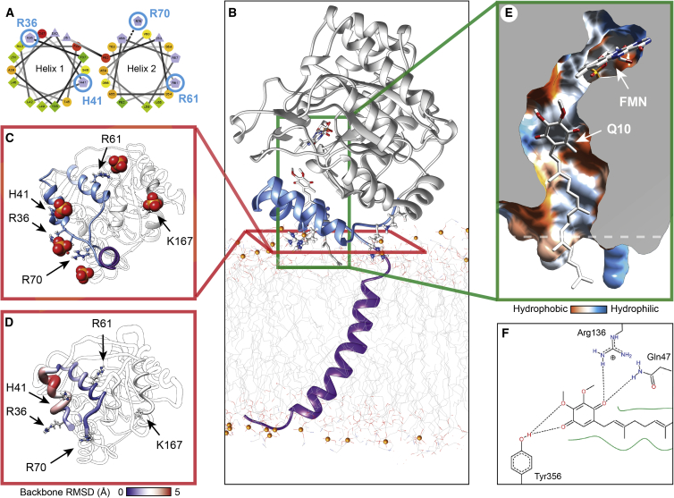 Figure 4