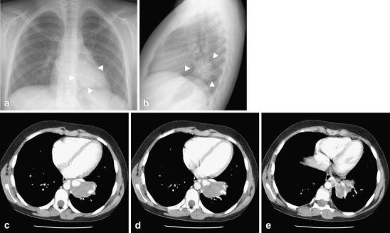 Fig. 8