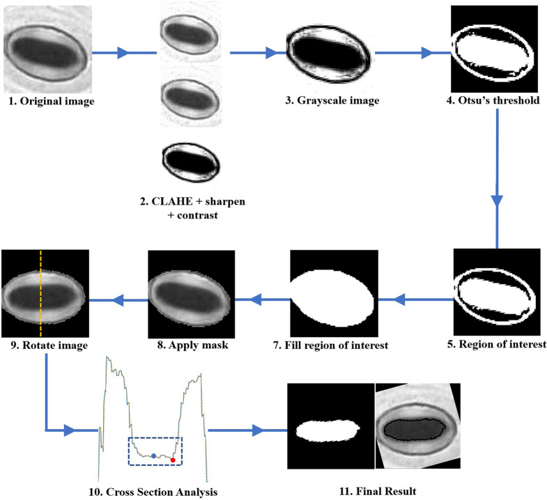 Figure 6