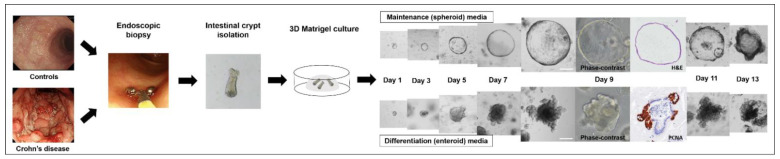 Figure 10